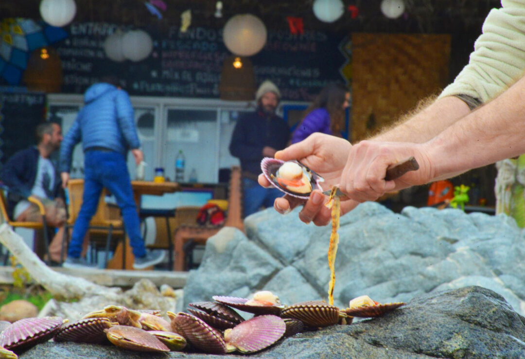 festival cocinas del pacifico