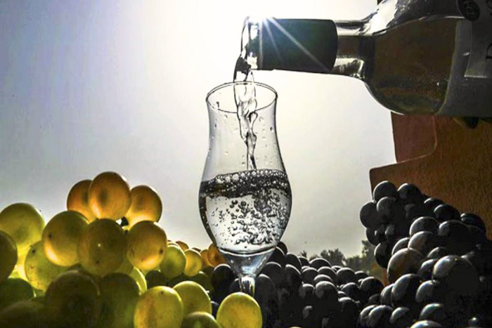 pisco
