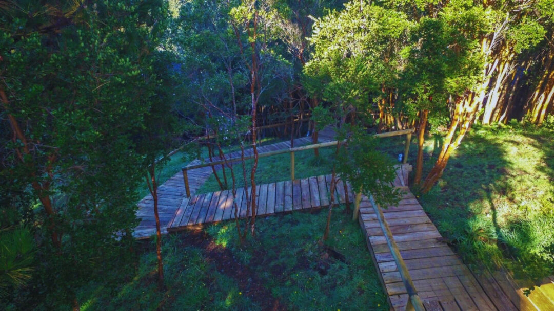 parque natural rio bravo