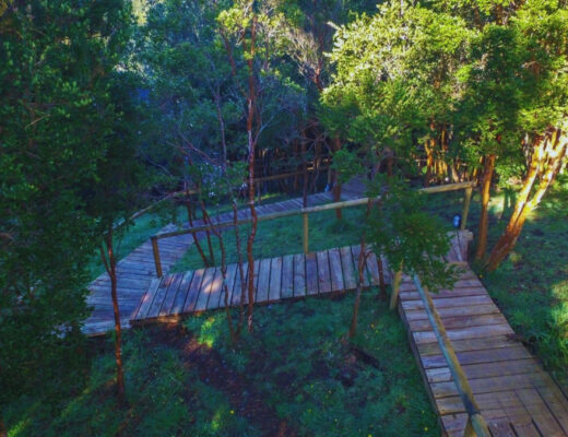 parque natural rio bravo