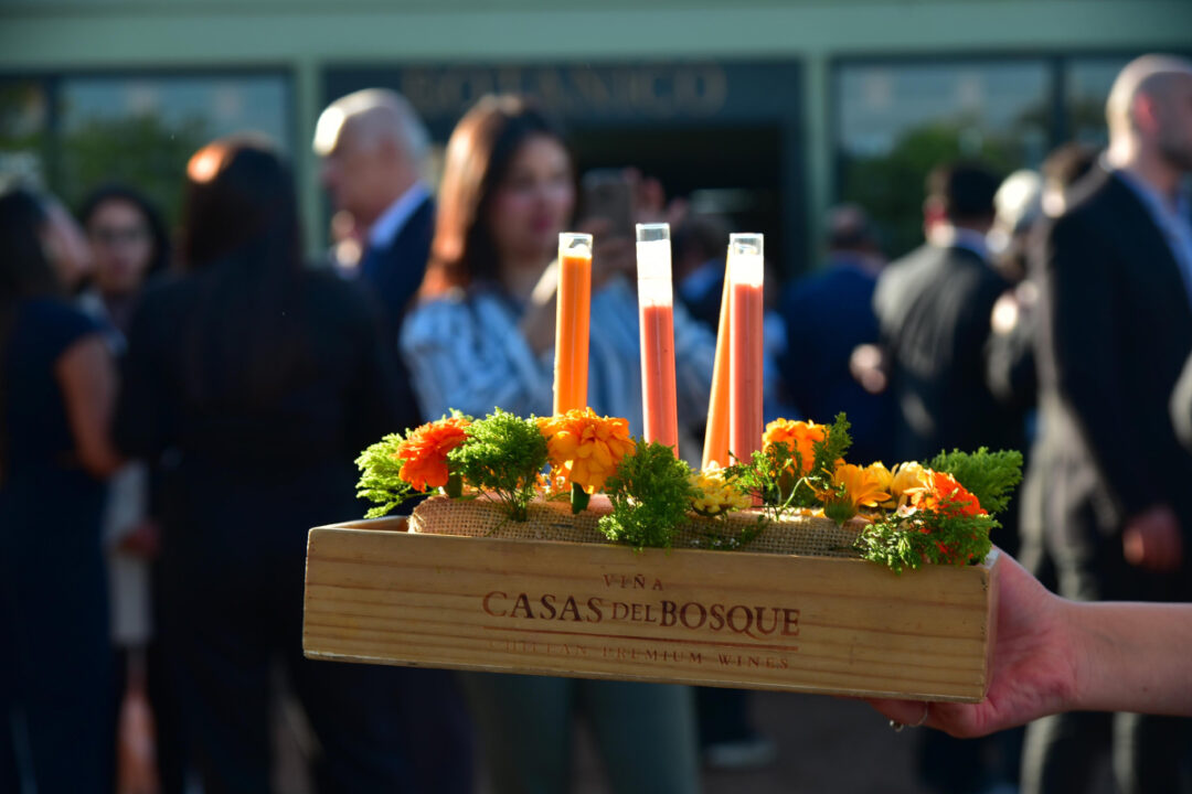 botánico casas del bosque