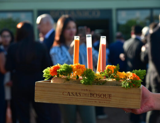 botánico casas del bosque