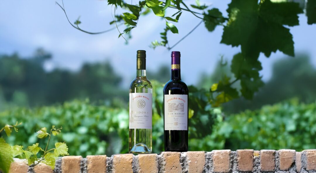 Vinos Cousiño Macul