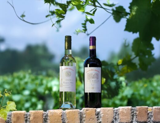Vinos Cousiño Macul