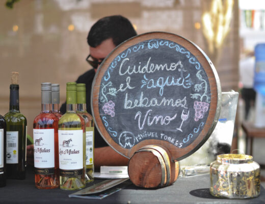 XXXVII Fiesta de la Vendimia Curicó 2026