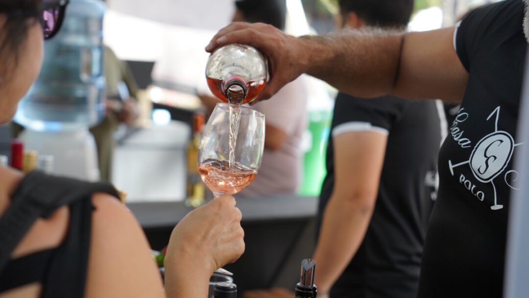 vendimia de colchagua