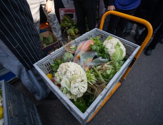 sustentabilidad