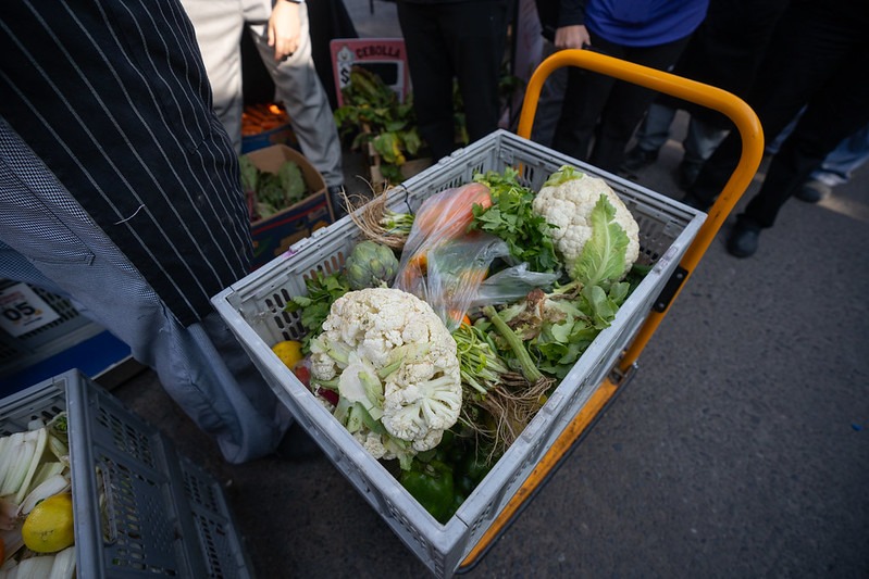 sustentabilidad