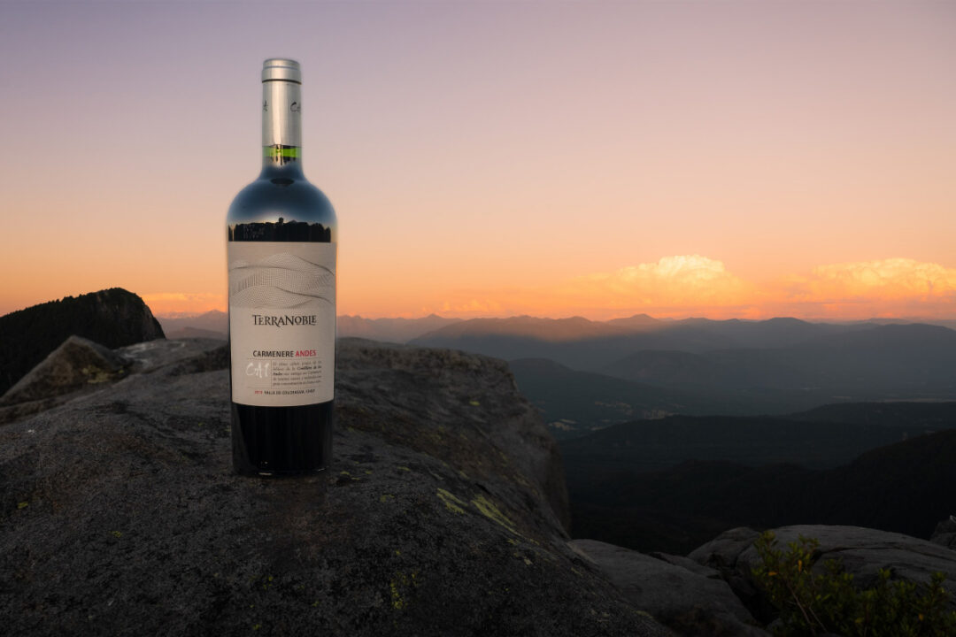 vino