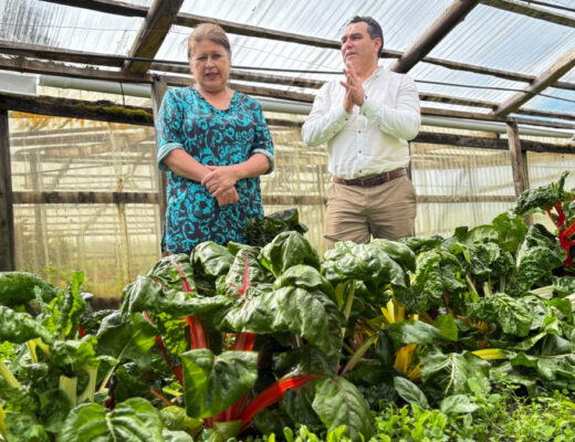 agricultora