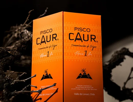 pisco caur