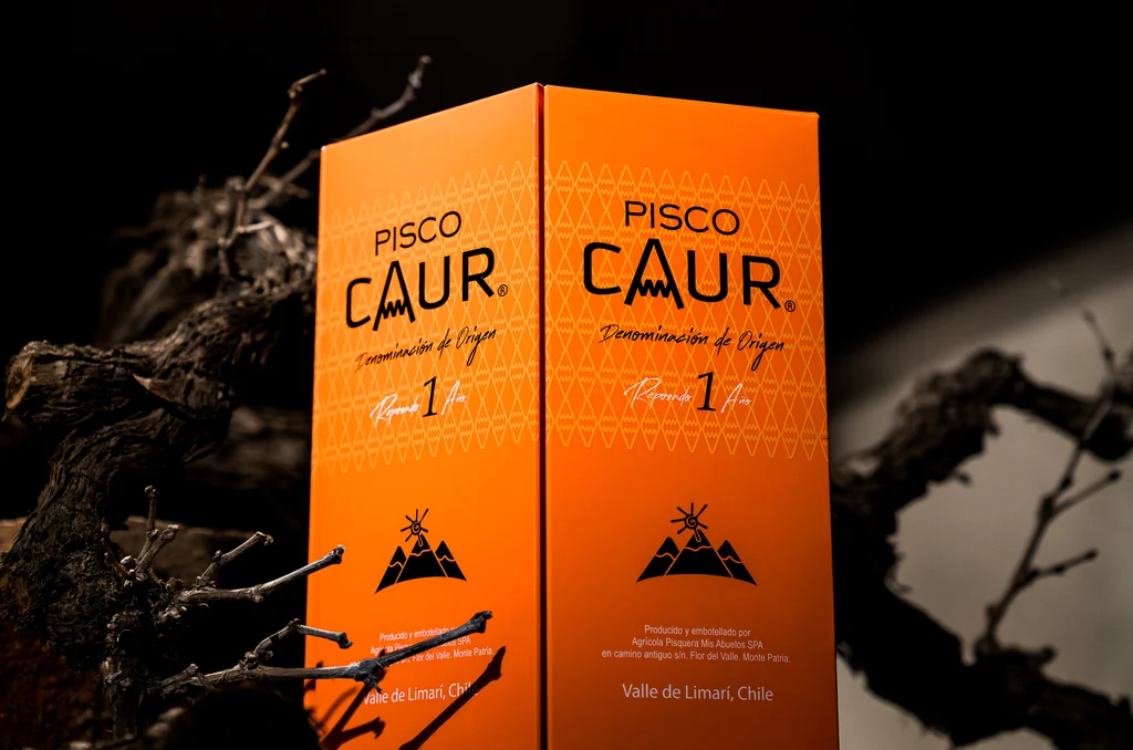 pisco caur